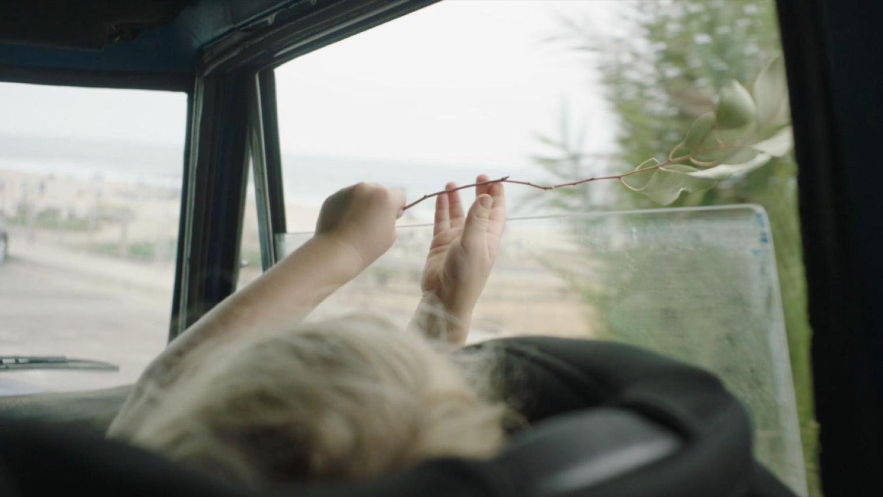 Seen from inside a parked truck, a young woman holds a bare sprig up against the windscreen, the ocean beyond.